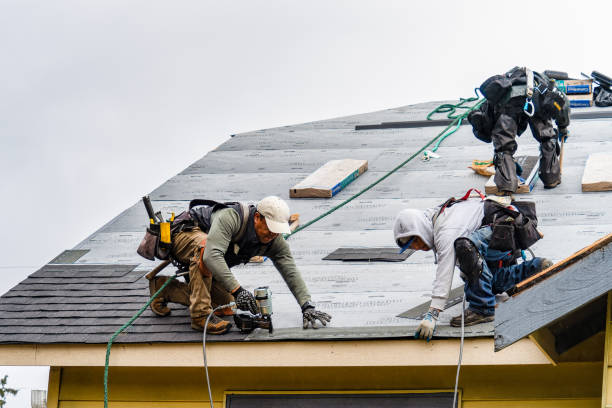 Professional Gutter Installation technician working in Wylie, TX